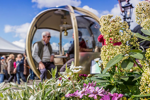 Harrogate Spring Flower Show